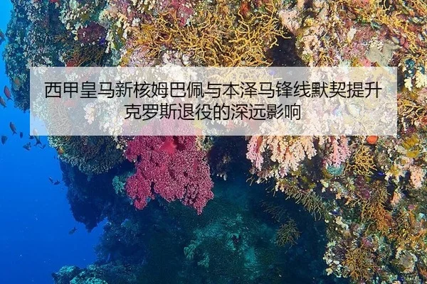 xi-jia-huang-ma-xin-he-mu-ba-pei-yu-ben-ze-ma-feng-xian-mo-qi-ti-sheng-ke-luo-si-tui-yi-de-shen-yuan-ying-xiang-2-838.jpg